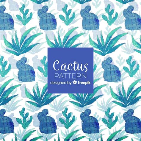 Kaktus-Hintergrund | Kostenlose Vektor