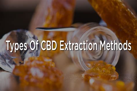 Image result for CBD Extraction Methods