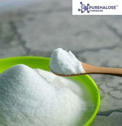 Buy Trehalose Food Grade Powder at Best Price in India