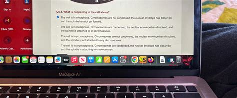 Solved Simutext section 6 ﻿graded questions mitosis explored | Chegg.com