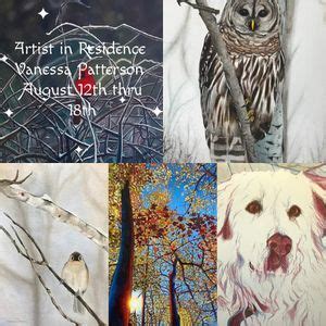 Artist In Residence Vanessa Patterson, 6 Cleveland Avenue, Lily Dale ...