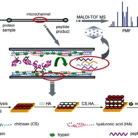 Image result for Lab On-Chip Protein Crystallisation