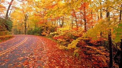 Image result for Fall Nature Desktop Backgrounds