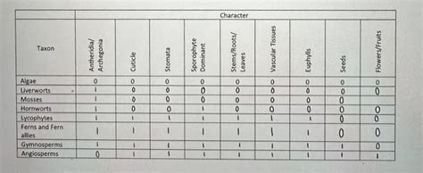 Image result for Create a Phylogenetic Tree Based On a Data Matrix