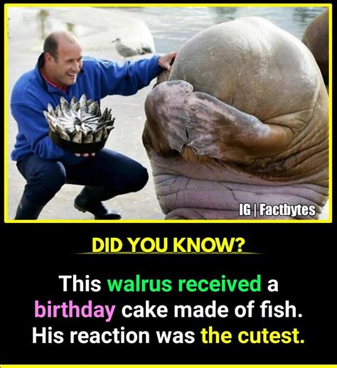 Image result for Most Random Fact Ever