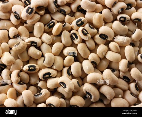 Whole black eyed beans or black eyed pea- close up full frame top shot ...