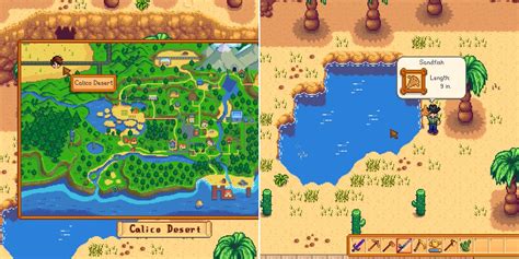 Stardew Valley: Where To Catch A Sandfish