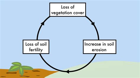 How Climate Shape Soil Erosion: Understanding The Basics
