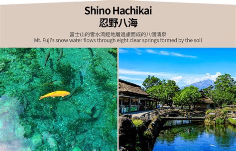 【Mt. Fuji & Izu & Hakone】Arakurayama Sengen Park & Hikawa Watch Shop ...