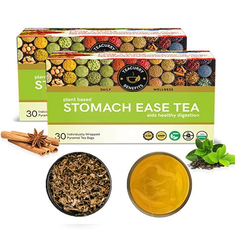 TEACURRY Constipation Ginger Tea (2 Month Pack, 60 Tea Bags) Helps With ...