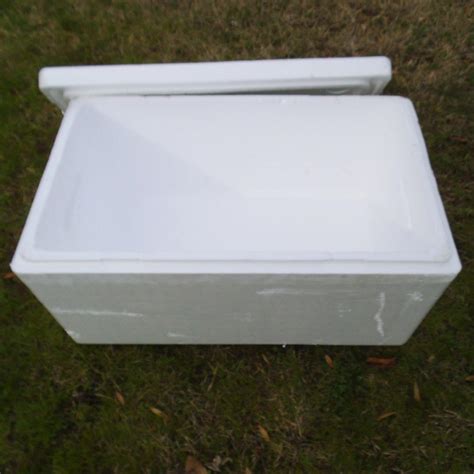 Styrofoam Cooler Dimensions at Shirl Ketner blog