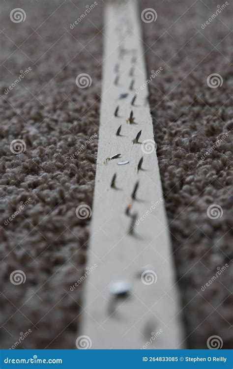 Carpet tack strips stock image. Image of strips, tack - 264833085