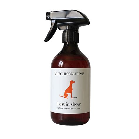 Best in Show Between Clean Waterless Shampoo | Frontgate