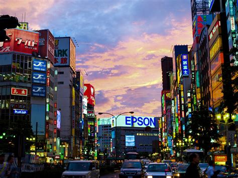 The Wild Side of Tokyo | Meer