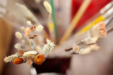 Crash Course: Introduction to Botanical Oil Painting, Plains Art Museum ...