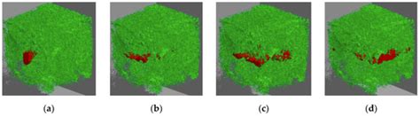 The Influence of Micro-Fractures on the Flow in Tight Oil Reservoirs ...