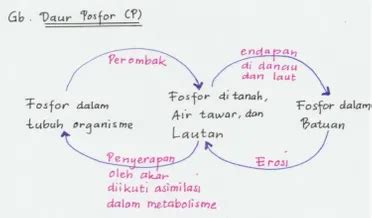 Image result for Spring Box Structure