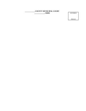 ohio judgment entry sample Doc Template | pdfFiller