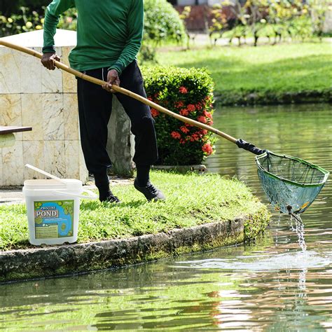 Pond Cleaning: คำตอบสำหรับการลดผลกระทบของการบำบัดน้ำเสีย - Terrace Energy