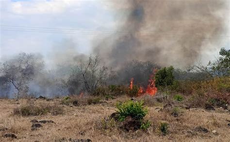 Bomberos de Neiva controlan incendio forestal en resguardo indígena La ...