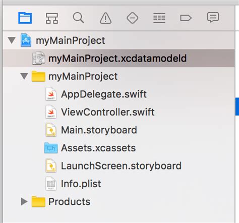 Image result for Core Data Xcode