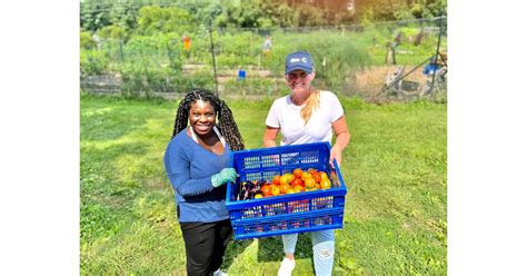 Planet Home Lending Volunteers Aid Howard County Food Bank, Community ...