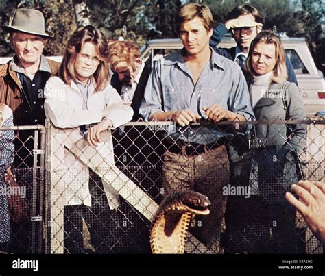 Sssssss (Don't say it, hiss it), aka: Sssssnake Kobra, USA 1973, Regie ...