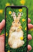 Image result for Cute Rabbit Tattoo