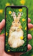 Image result for Cute Rabbit Say What This Is Cartoon