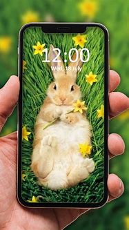 Image result for Cute Rabbit 1402