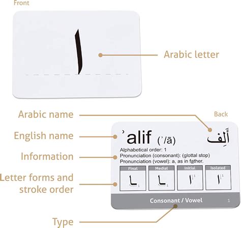 CARDDIA Arabic Alphabet Flash Cards (Including | Ubuy India