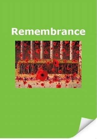 Remembrance (Turning Pages Reading Programme) : Amazon.in: Books