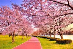 #scenery #landscape #beautifulscenery #nature #beauty #scenic # ...