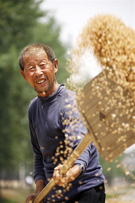 农民工“超龄”强制退休？多地出台“清退令”，年满60一律禁用