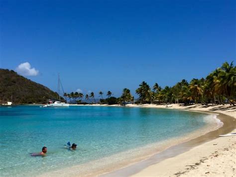 Salt Whistle Bay (Mayreau) - 2020 What to Know Before You Go (with ...