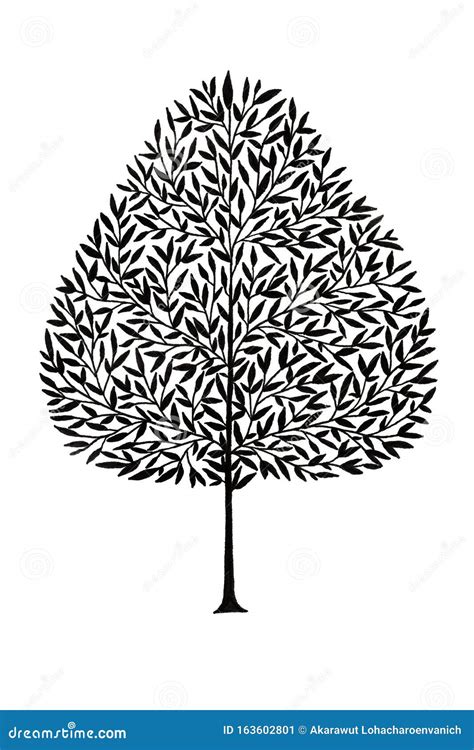 Simple Ink Drawings Of Trees