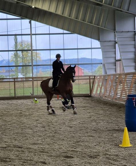 Working Equitation Treningshelg og Stevne/Treningsstevne , Stall Zaana ...
