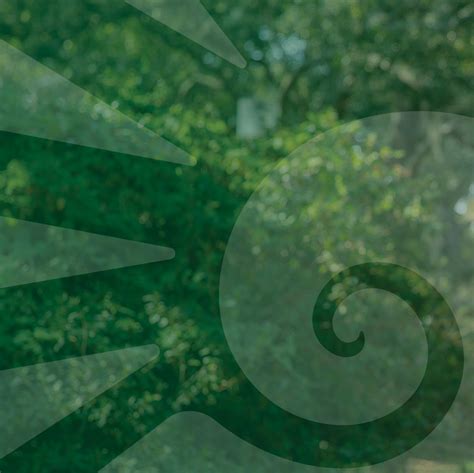 2022-2023 Foundation Annual Report by University of West Florida - Issuu