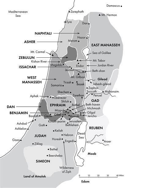 AMBIL SEKARANG