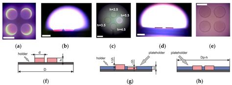Technology Features of Diamond Coating Deposition on a Carbide Tool