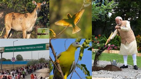 PM to Lead Special Tree Plantation on World Environment Day, While ...