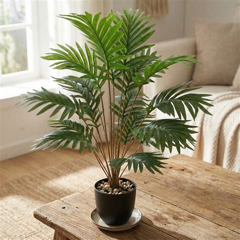 Premium Artificial Trees for Home & Office Décor | Dekorly