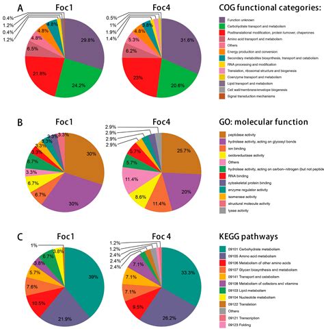 In Vitro Secretome Analysis Suggests Differential Pathogenic Mechanisms ...