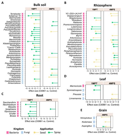 Microbiome Analysis Reveals Biocontrol of Aspergillus and Mycotoxin ...