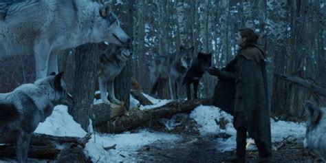 Game Thrones Throne Wolves