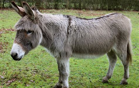 The First Day of 2012 | Lose Weight and Gain Health