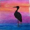 Select any 5 seasonal breeders belonging to different species and ...