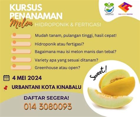 Kursus Hidroponik Urban Tani, Kampung Tambalugu , Jalan Kota Kinabalu ...