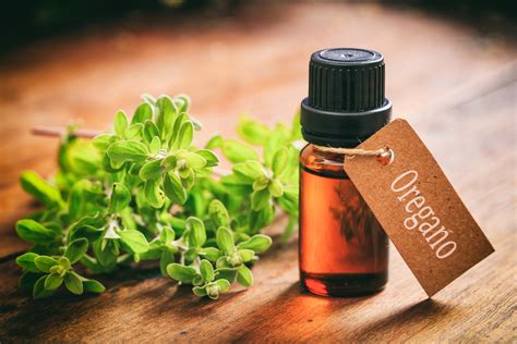 Oregano Oil for Ear Infections: Science-Backed Relief & How to Use Safely