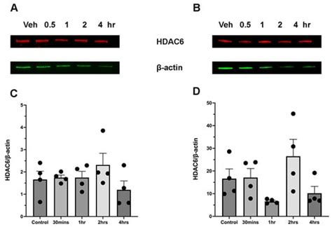 Brain Sciences | An Open Access Journal from MDPI